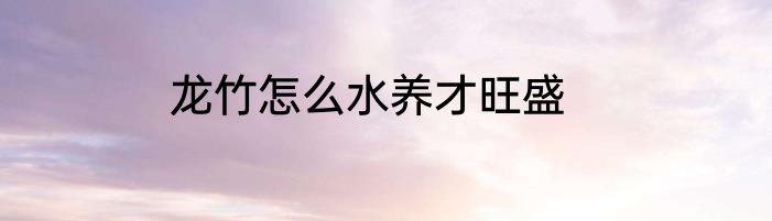 龙竹怎么水养才旺盛