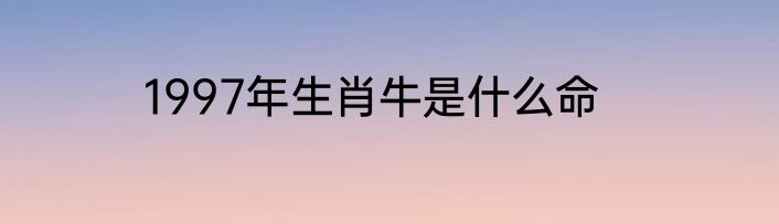 1997年生肖牛是什么命