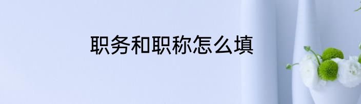 职务和职称怎么填