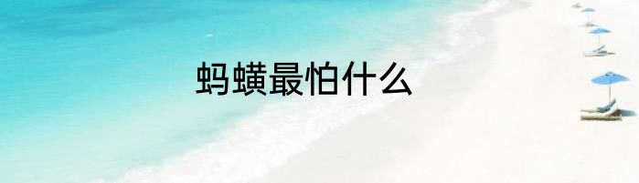 蚂蟥最怕什么