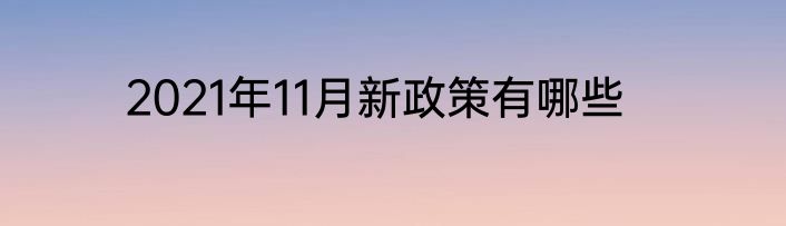 2021年11月新政策有哪些