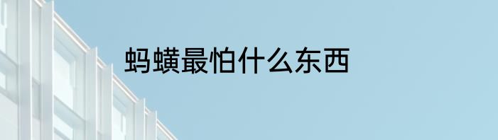 蚂蟥最怕什么东西