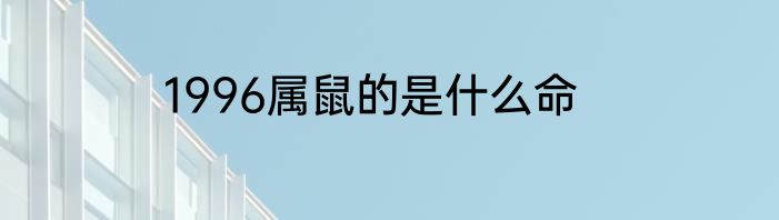 1996属鼠的是什么命