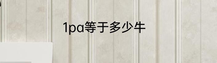 1pa等于多少牛