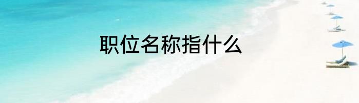 职位名称指什么
