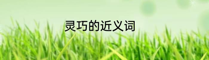 灵巧的近义词