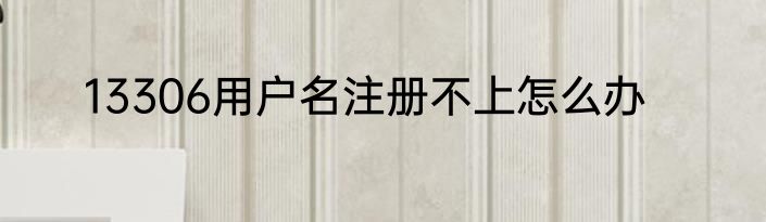 13306用户名注册不上怎么办