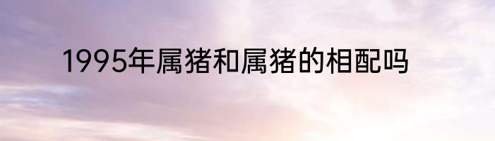 1995年属猪和属猪的相配吗