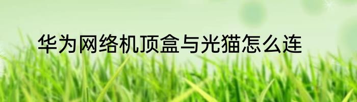 华为网络机顶盒与光猫怎么连
