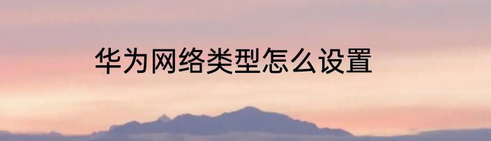 华为网络类型怎么设置
