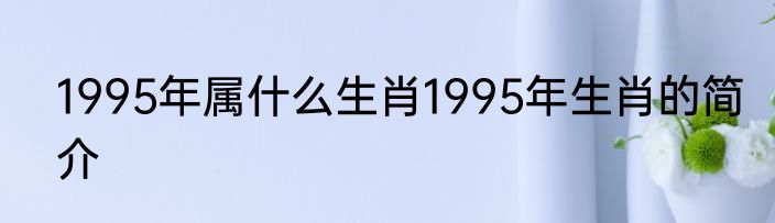 1995年属什么生肖1995年生肖的简介