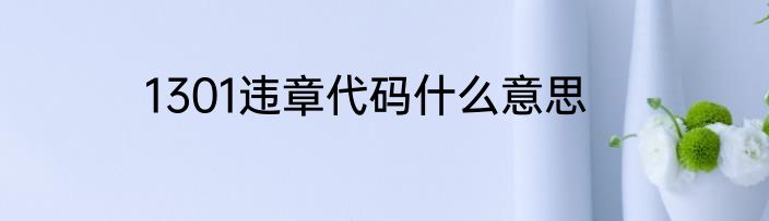 1301违章代码什么意思