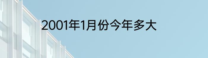 2001年1月份今年多大