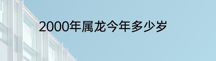 2000年属龙今年多少岁