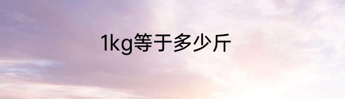 1kg等于多少斤
