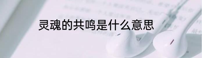 灵魂的共鸣是什么意思