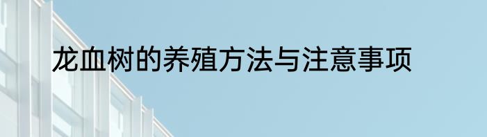 龙血树的养殖方法与注意事项
