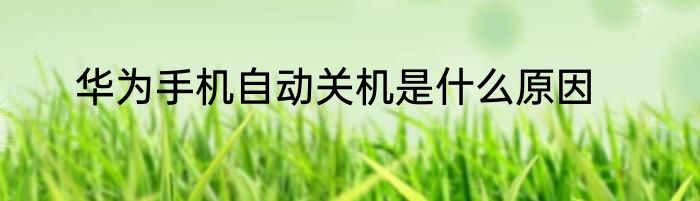 华为手机自动关机是什么原因