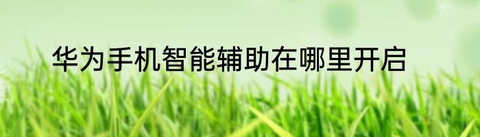 华为手机智能辅助在哪里开启