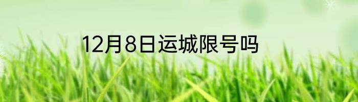 12月8日运城限号吗