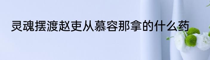 灵魂摆渡赵吏从慕容那拿的什么药