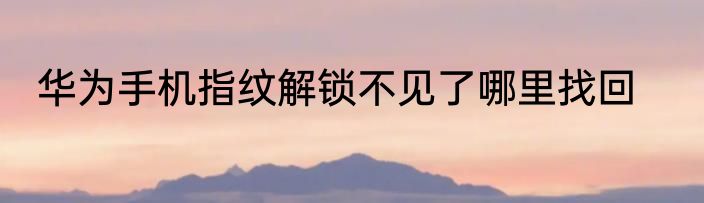 华为手机指纹解锁不见了哪里找回