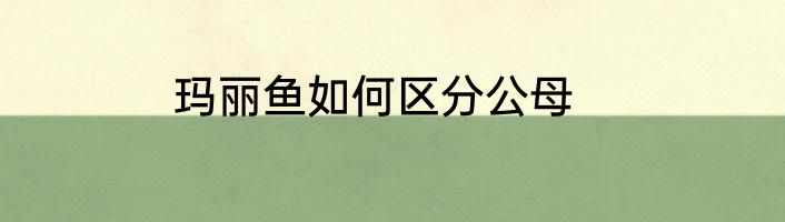 玛丽鱼如何区分公母