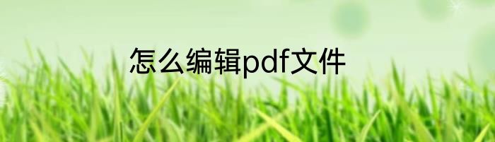 怎么编辑pdf文件