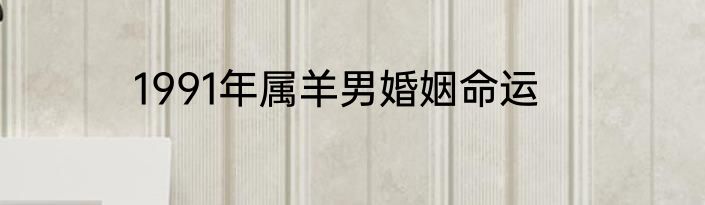 1991年属羊男婚姻命运