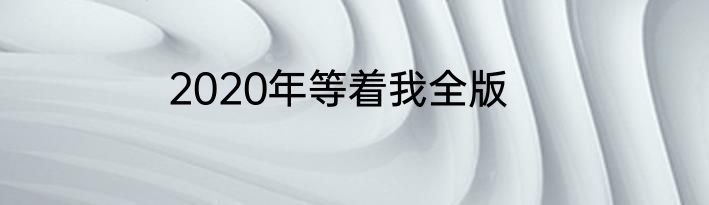 2020年等着我全版
