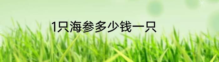 1只海参多少钱一只