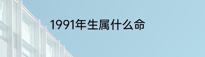 1991年生属什么命