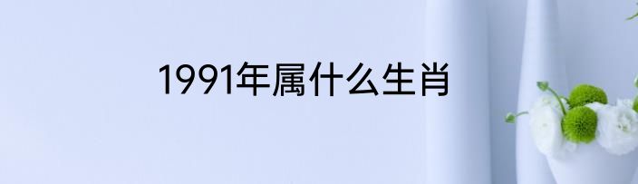 1991年属什么生肖