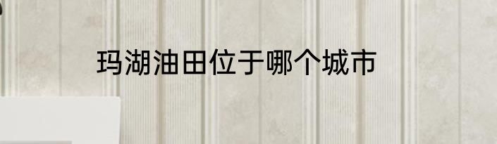 玛湖油田位于哪个城市