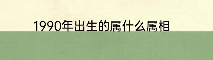 1990年出生的属什么属相