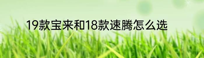 19款宝来和18款速腾怎么选