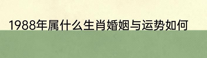 适合女大学生的短发