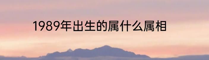 1989年出生的属什么属相