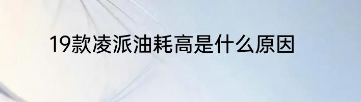 19款凌派油耗高是什么原因