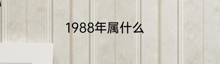 1988年属什么
