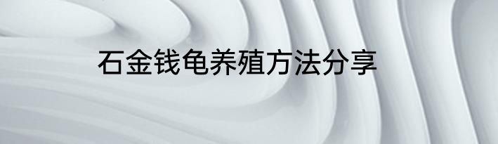 石金钱龟养殖方法分享