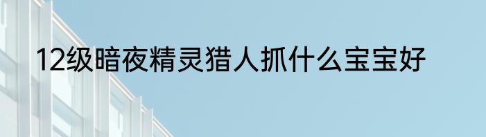 12级暗夜精灵猎人抓什么宝宝好