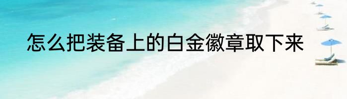 怎么把装备上的白金徽章取下来