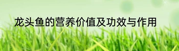 龙头鱼的营养价值及功效与作用