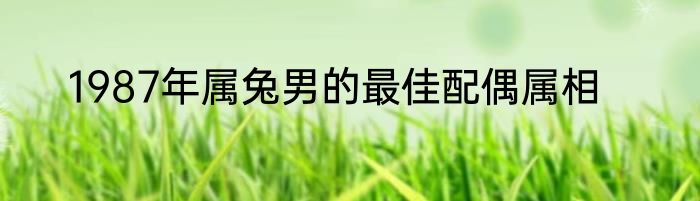 1987年属兔男的最佳配偶属相