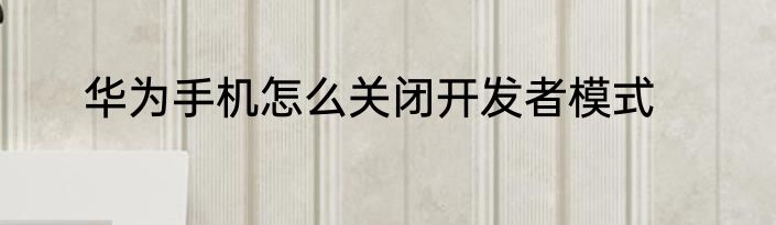 华为手机怎么关闭开发者模式
