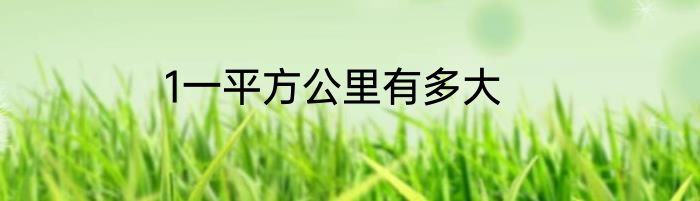 1一平方公里有多大