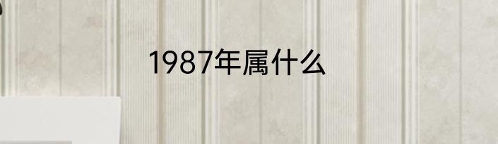 1987年属什么