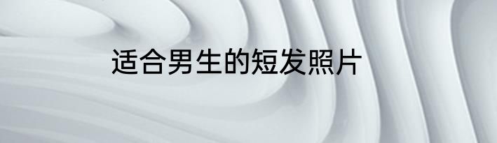 适合男生的短发照片