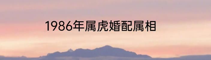 1986年属虎婚配属相